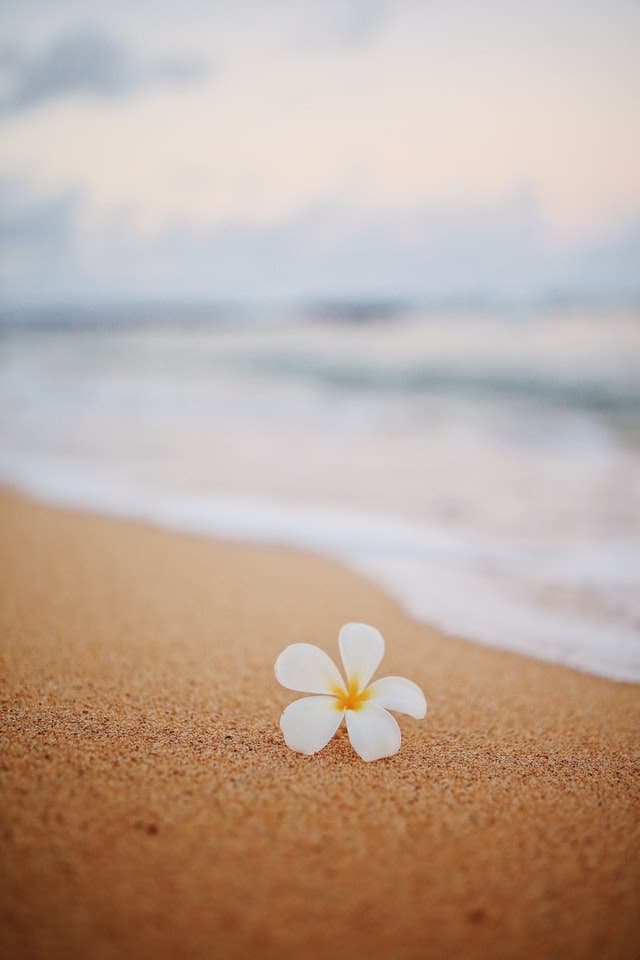 Hawaii Luxury Rehab Centers Hawaii Luxury Rehab Centers