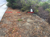 Hillside eroded along the eastern side of San Bruno Avenue between Crestmoor and Glenview drives, and about 10 feet of hillside remains between the edge of the slope and the sidewalk, according to the city.