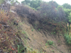 Hillside eroded along the eastern side of San Bruno Avenue between Crestmoor and Glenview drives, and about 10 feet of hillside remains between the edge of the slope and the sidewalk, according to the city.