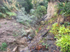 Hillside eroded along the eastern side of San Bruno Avenue between Crestmoor and Glenview drives, and about 10 feet of hillside remains between the edge of the slope and the sidewalk, according to the city.