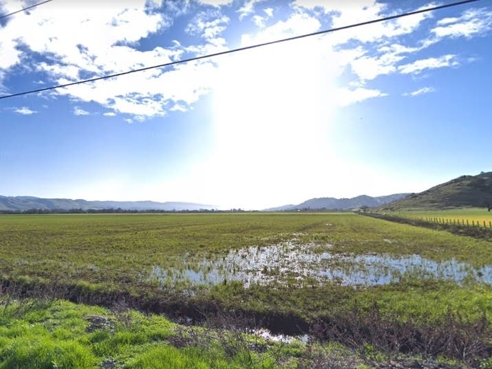 Last year, 937 acres of Coyote Valley land became permanently protected, but there are 7,400 acres in the valley.