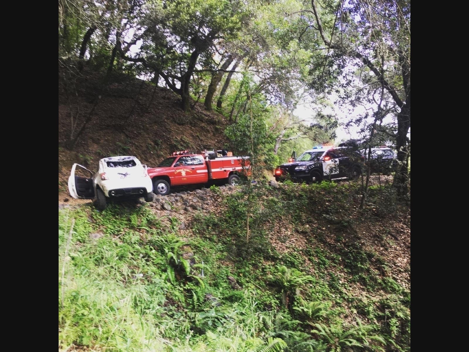 The car that plunged may have been there for several hours before firefighters discovered it shortly after 9 a.m. Saturday, said fire department spokesman Brian Centoni.