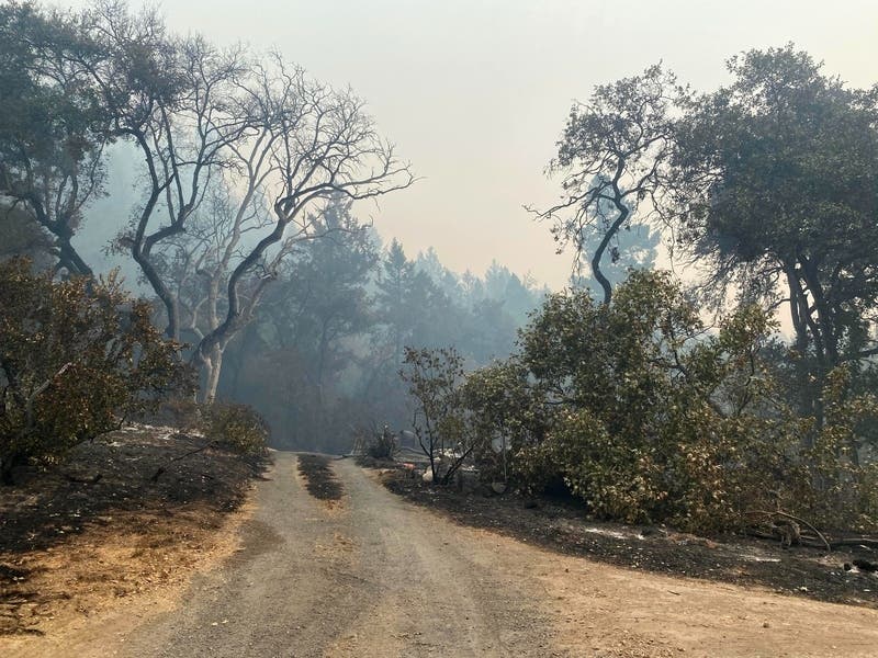 More than 1,400 structures have been destroyed, including 925 residences and 171 commercial structures. An additional 90 residences and 16 commercial structures have been damaged.