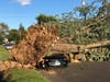 Car Crushed on Seaside Avenue 