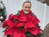Noreen Forde holds one of the plants for sale at www.clearity.org/holidayplants from Vaiuso Farms of Branford.