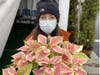 A look at a Marble Poinsettia Plant Sold to raise funds for #ovariancancer  Go to www.clearity.org/holidayplants to help