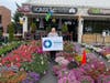 Noreen Forde Displays Premium Hanging Petunias at the 2021 Mother's Day Plant Sale
