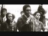Dhoruba bin Wahad was  framed and unjustly sent to prison by the FBI’s racist cointelpro (Counter Intelligence Program) for 19 years for being a member of Original Black Panther Party and a Black freedom fighter in Afrikan American community. 