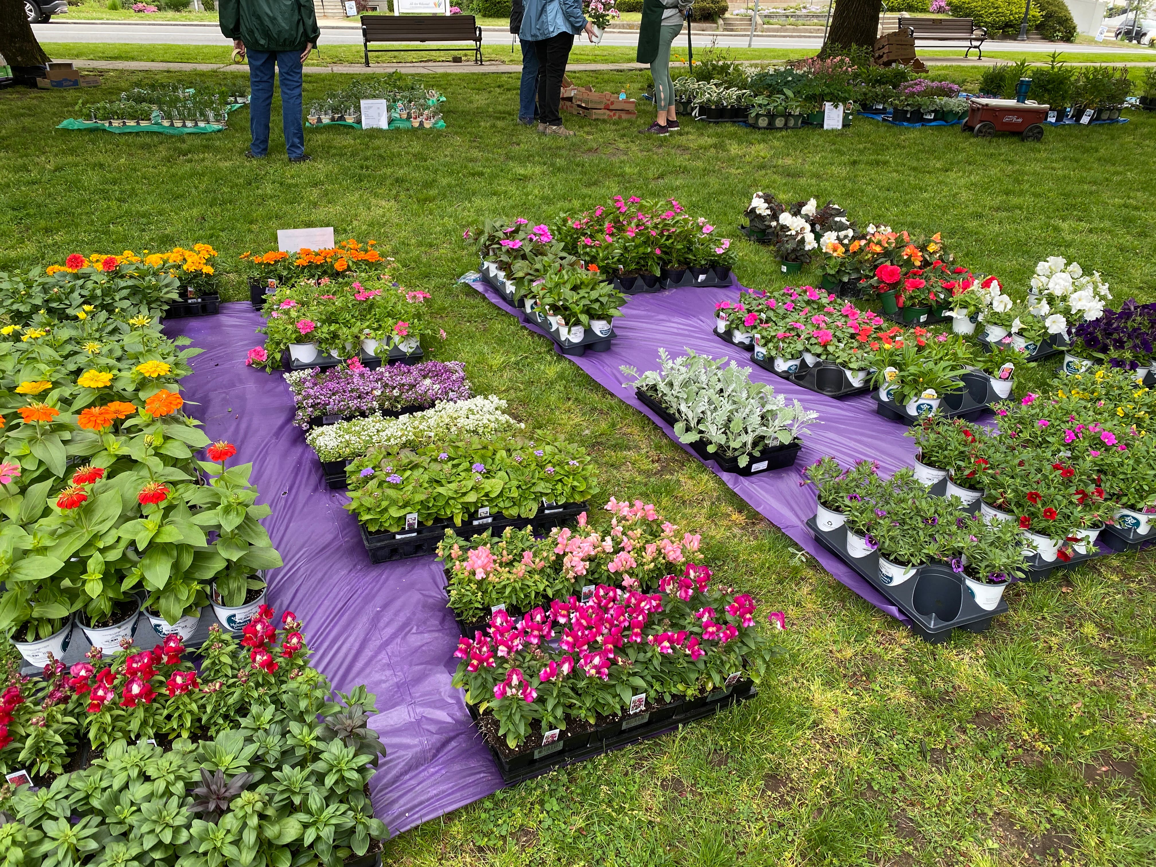 Reading Garden Club Plant Sale