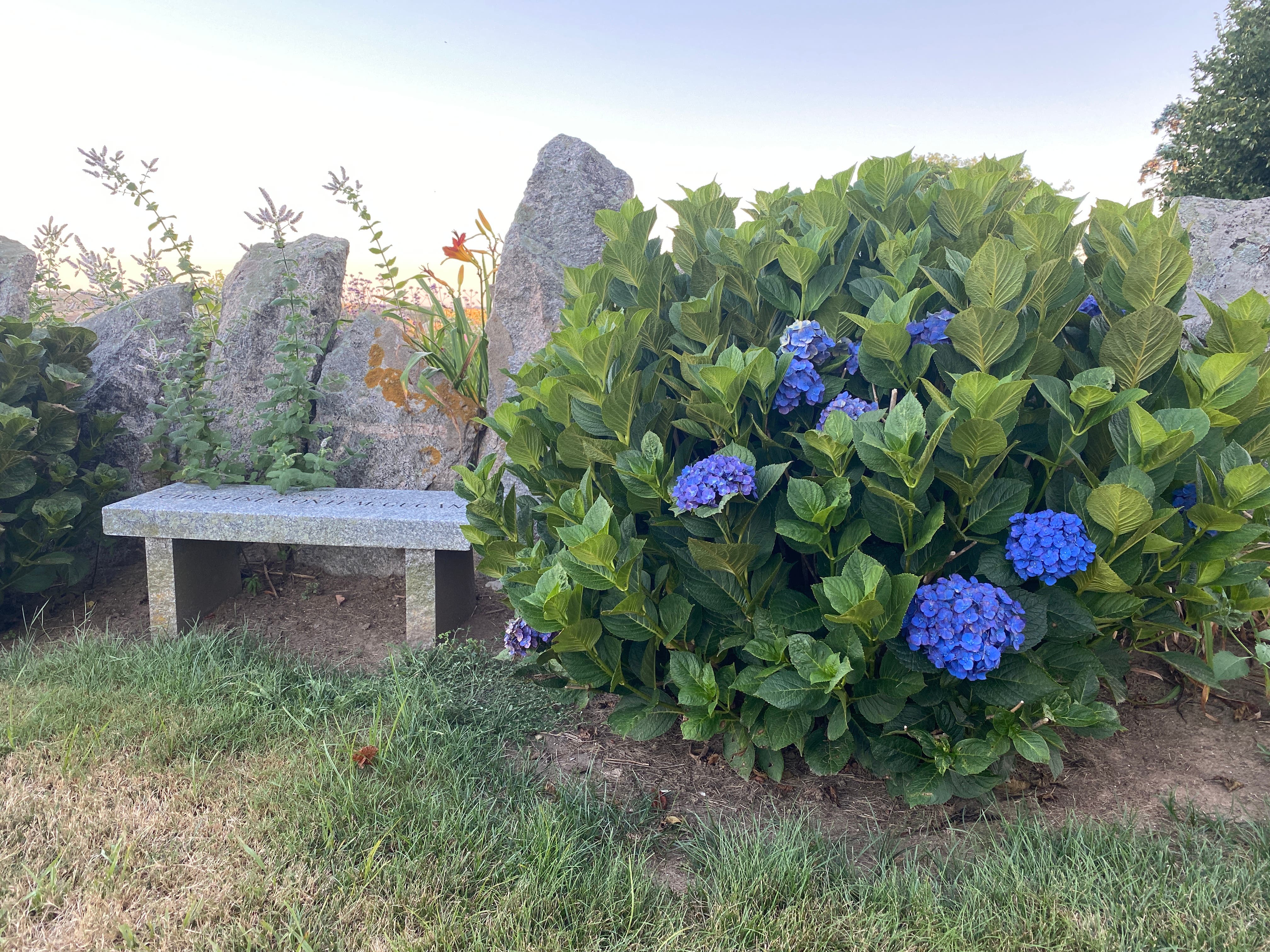 Reading Garden Club November Meeting - open to the public