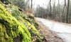 Thriving Moss one of the many beautiful sights