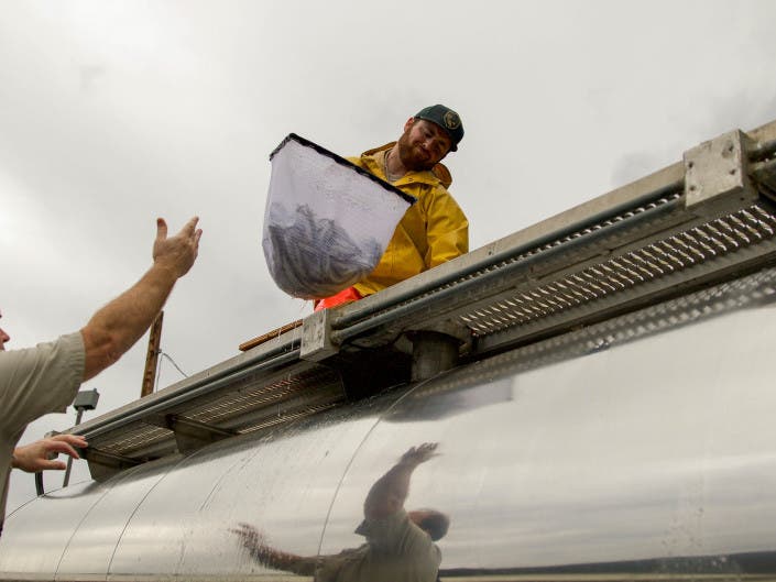 News small post card thumbnail