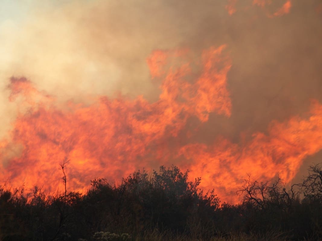 “Given the nightmarish wildfires that have become part of normal life in recent years, California taxpayers would be right to ask if they’re paying for utility watchdogs or lap dogs at the CPUC.”