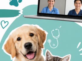 St. Hubert's virtual Veterinary Career Exploration 