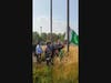 Pakistan Independence Day Bolingbrook