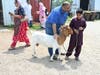 Eid Adha celebration