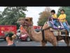 Naperville Halal Fest
