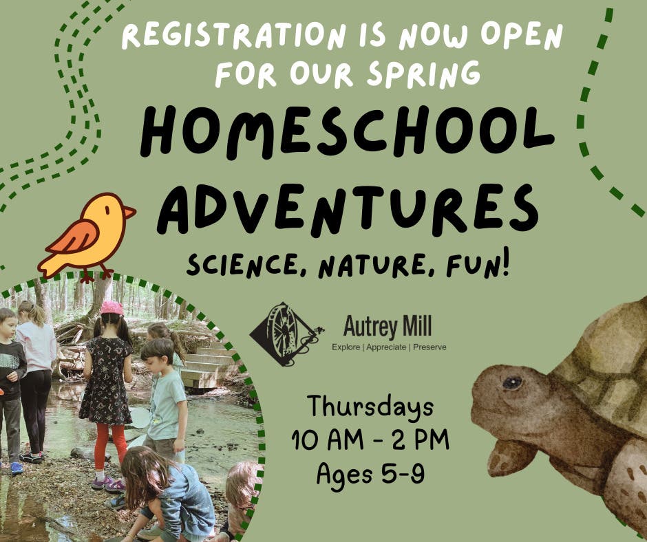 Homeschool Adventures (Ages 5-9)