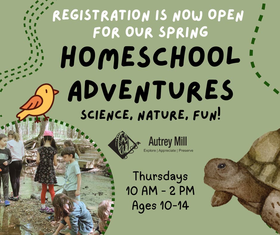 Homeschool Adventures (Ages 10-14)