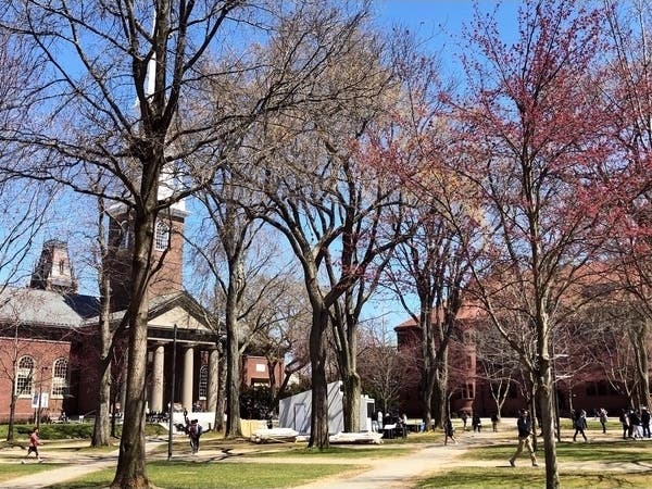 Harvard University says all students living on campus will be tested when they arrive and then three times a week. 