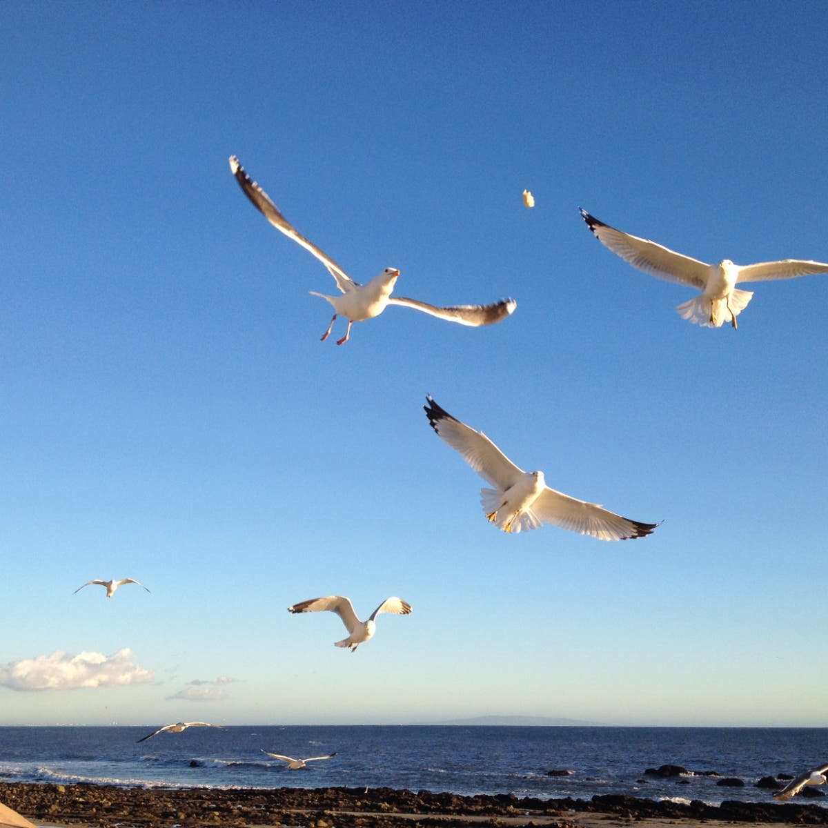 Patch loves photos! Share your photos with Patch and your work could be featured.