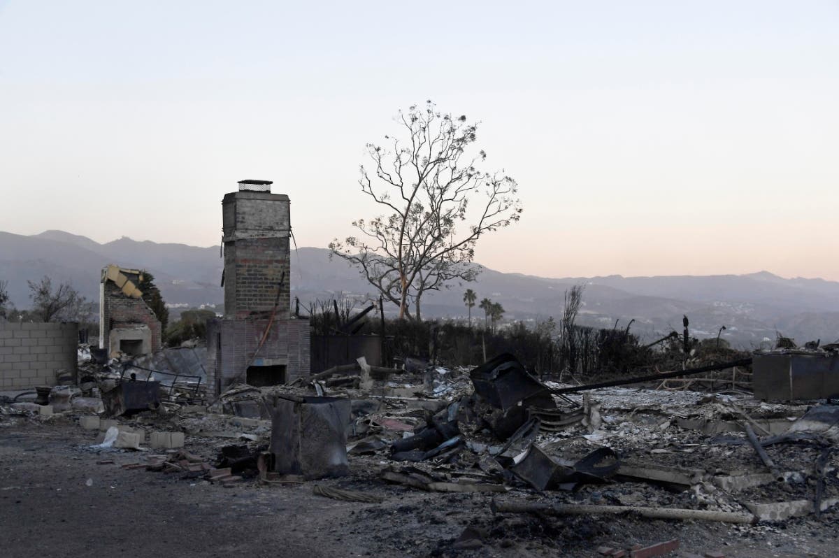 The lawsuit alleges wrongful death and negligence and seeks unspecified damages.