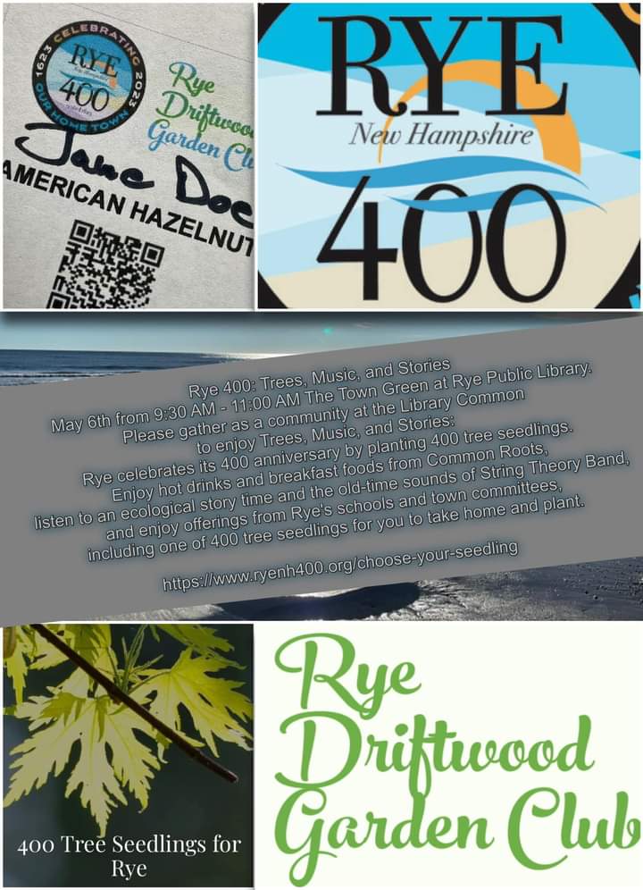 May 6 | 400 Free Seedlings for Rye Residents | Portsmouth, NH Patch