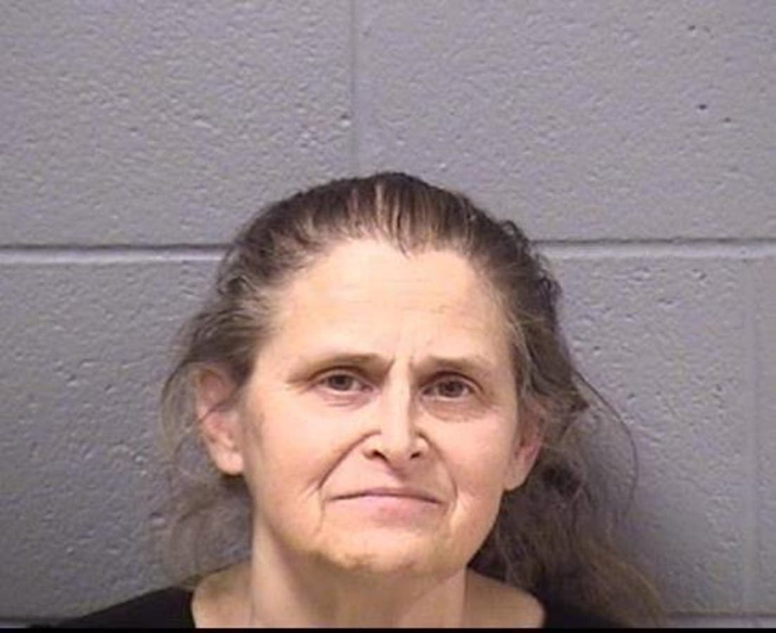 Linda Meister was arrested by Shorewood Police officers for felony retail theft charges. 