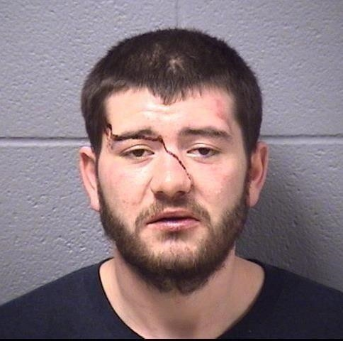 This young man from New Lenox faces several criminal charges. 