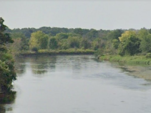 A car drove into a shallow area of the Du Page River near the frontage road that runs parallel with Interstate 55. 