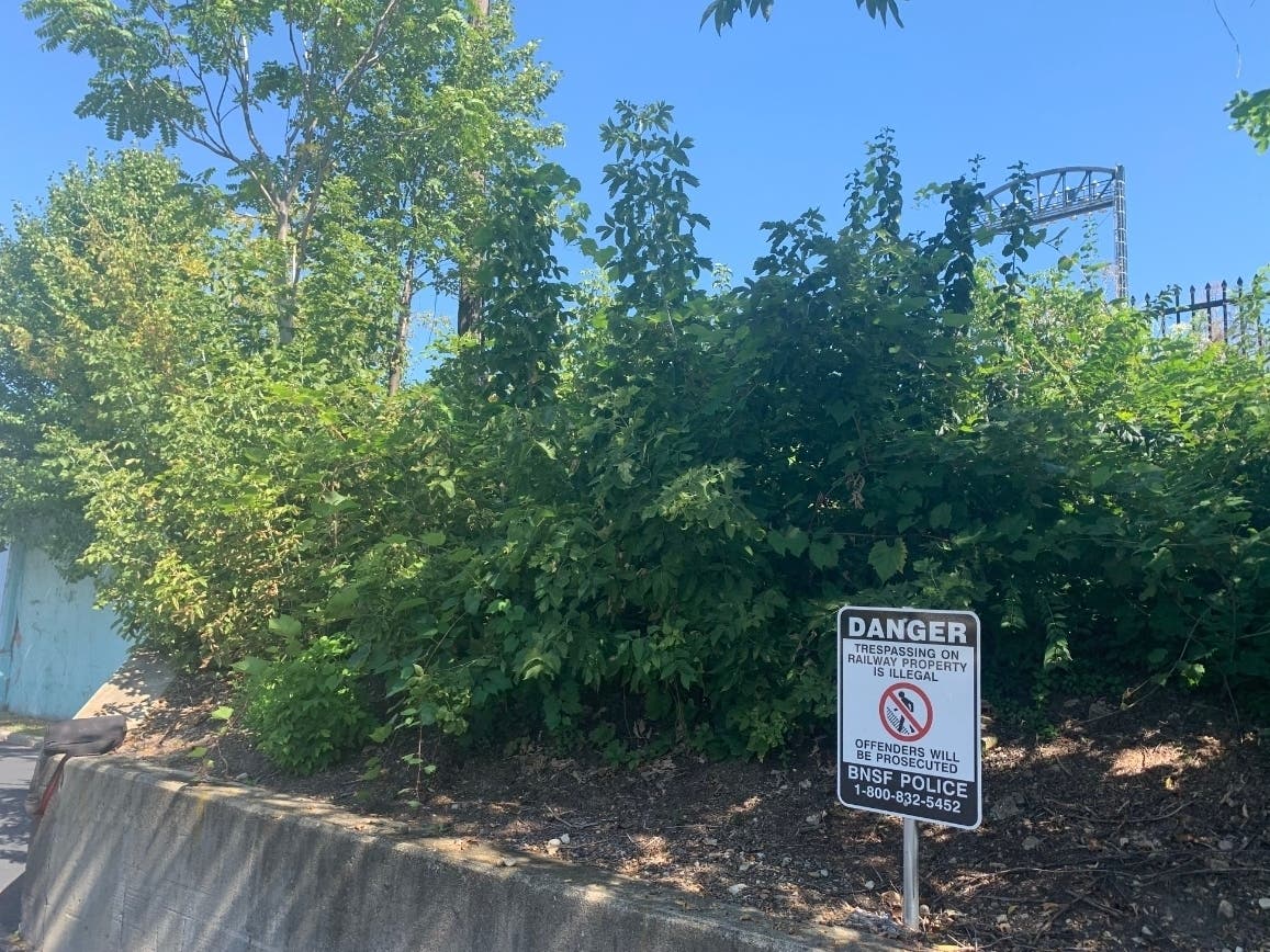 BMO Harris security Jim Lanham, a 2023 Joliet City Council candidate, said he's found heroin, a dozen syringes plus several liquor bottles in this berm BNSF railroad has let go.