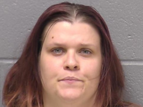 Channahon resident Heather Lloyd orchestrated a barbaric attack last Thursday afternoon in the McKinley Woods parking lot of her estranged husband, Will County's Forest Preserve Police told Joliet Patch. 