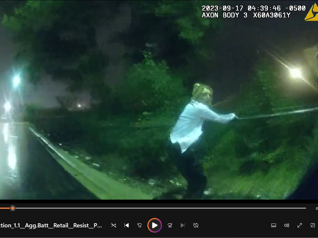 Samantha Bravato, 29, of Crest Hill's Oakland Avenue, climbs the fence after she ran from the Walgreens at Ingalls and Larkin to avoid the Joliet police officer trying to arrest her.