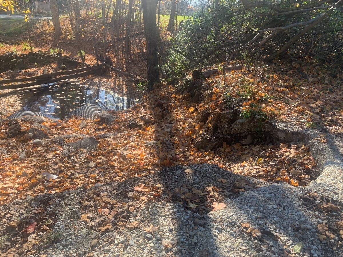 Woodlawn Cemetery VP Says Washed Out Road Will Get Fixed Soon Joliet
