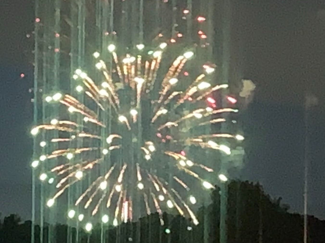 Sundance at Independence Day Celebration in Channahon 