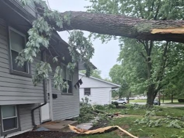 This Joliet storm damage is from the area of Barney Drive and Campbell Street. 
