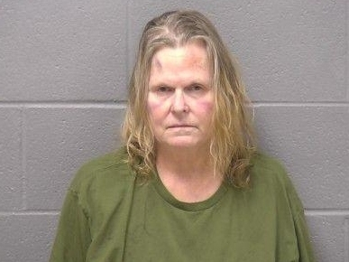 Leanna Carpenter, 60, comes from the 1700 block of Joliet's Pinewood Lane. She spent three days in the Will County Jail before regaining her freedom.