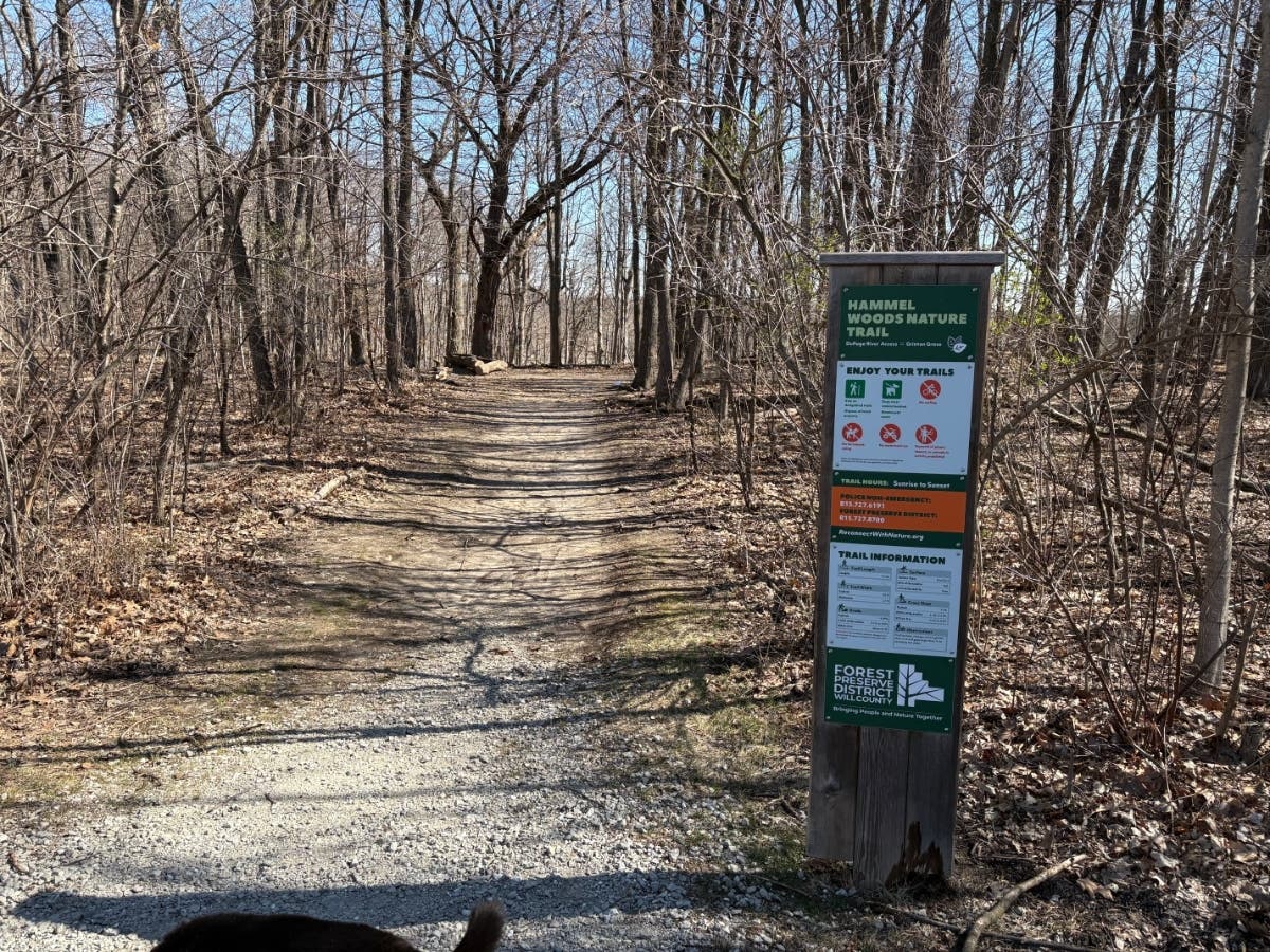 Hammel Woods is open 8 a.m. to sunset every day of the year except Christmas.