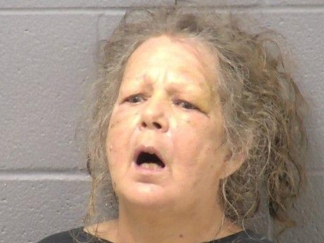 This is not the first time 67-year-old Joliet resident Catherine Van Driska has been put in the Will County Jail. They also booked her in the summer of 2020.