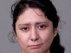 Child, 1, At Center Of Joliet Police Response To Krings Lane, Prompting Woman's Arrest: Cops