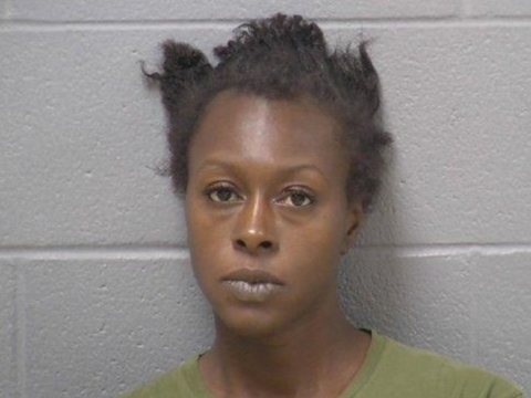 Kaylen Marie Staley, age 31, comes from the Fox Meadow subdivision and resides on Fox Meadow Drive where Crest Hill police arrested her.