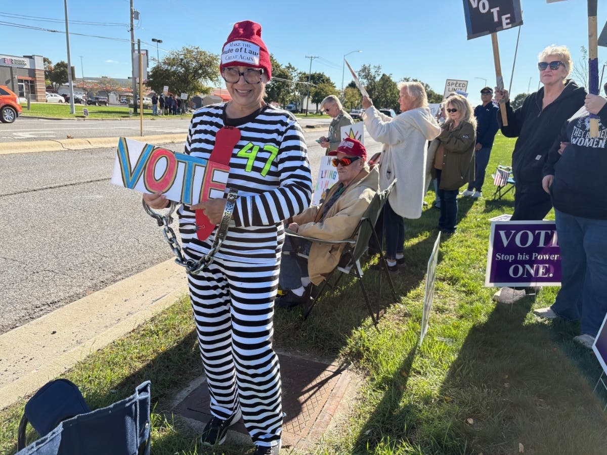 Demonstrators at Saturday's "No Kings" Get Out The Vote rally near the Louis Joliet Mall.
