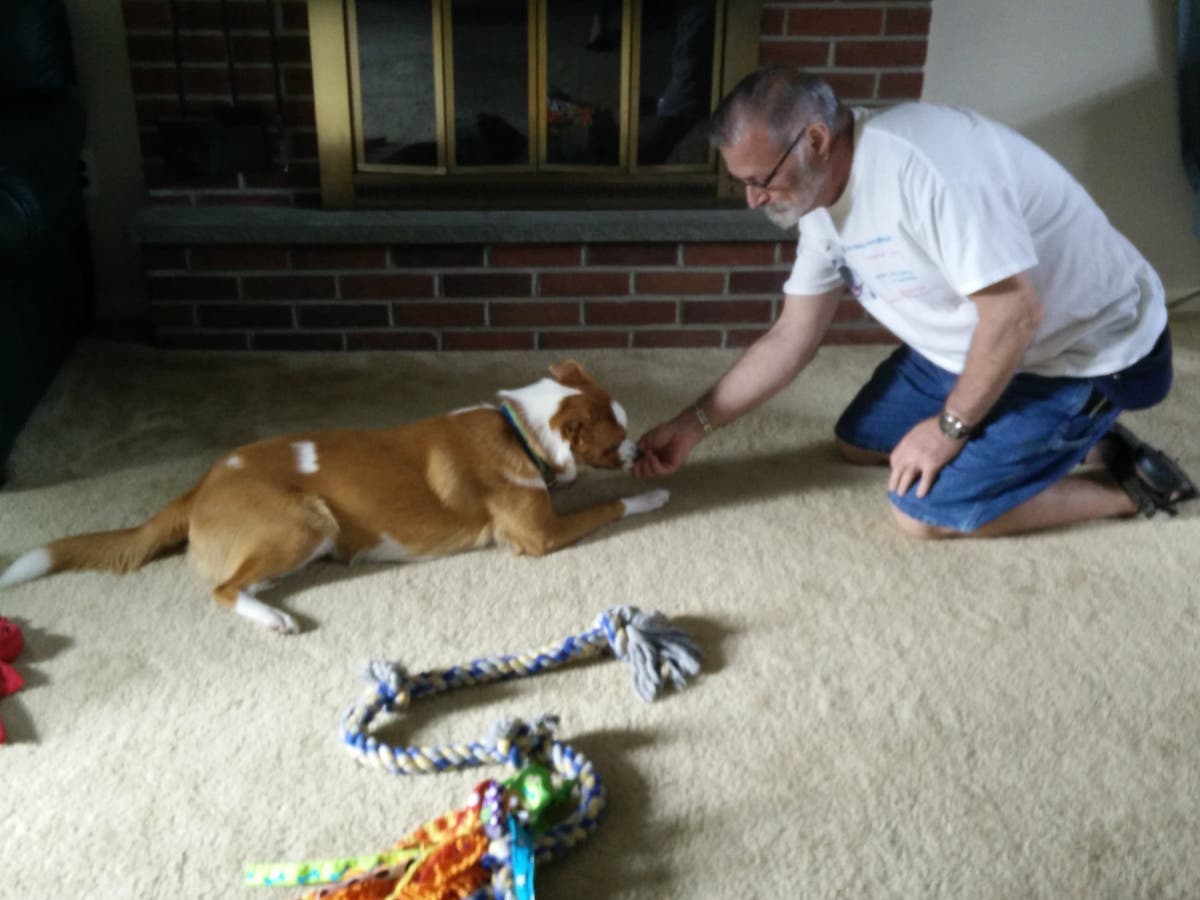 Sit Stay And Beyond LLC