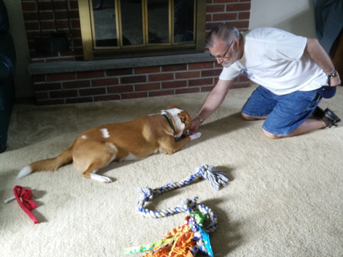 Sit Stay And Beyond LLC