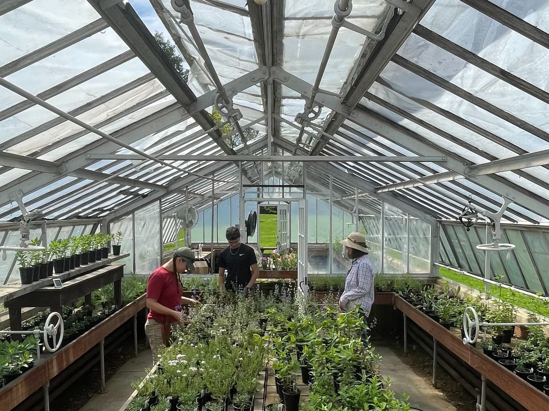 Annual Plant Sale
