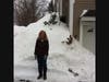 Cat trapper and foster mom, Jill Auld
