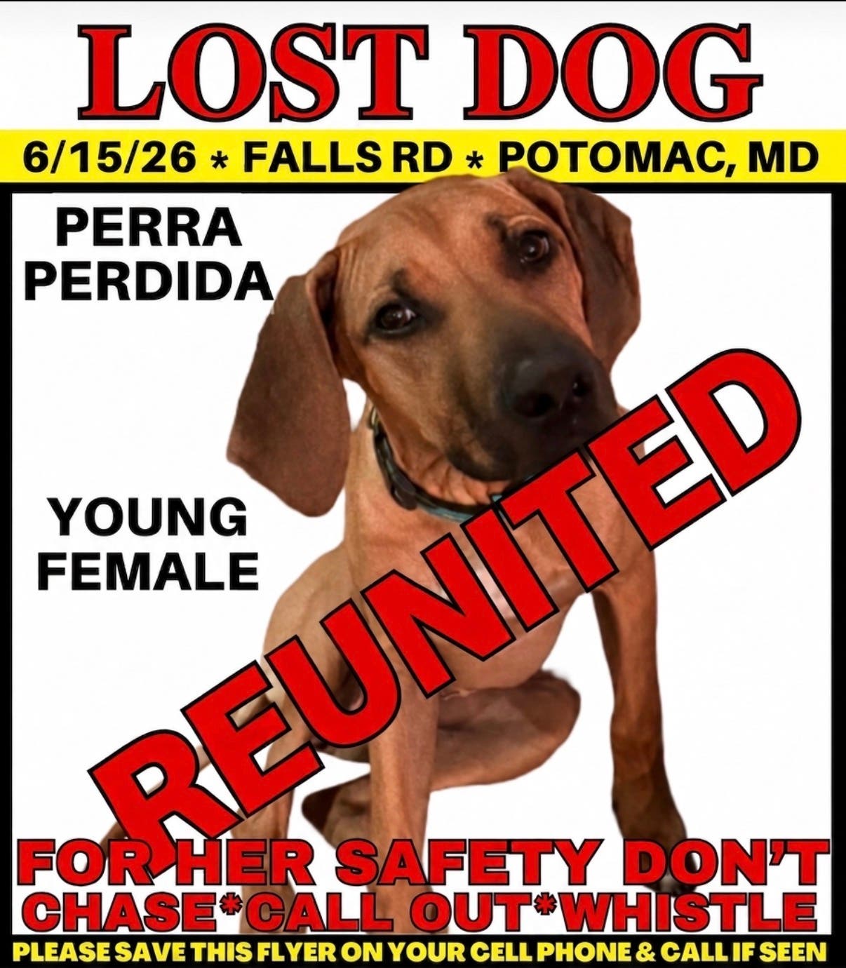 Zoe is home and safe ❤️❤️🎉‼️‼️🎉❤️🎉‼️