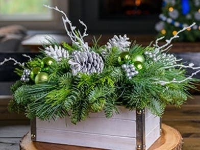 Holiday Greenery
