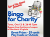 Bingo for Charity