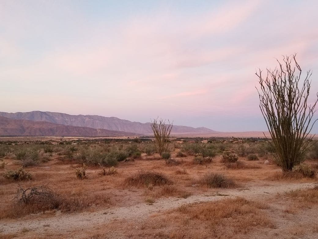 The initiative will give California officials scientific data they can use to make decisions about conserving the state’s ecosystems.